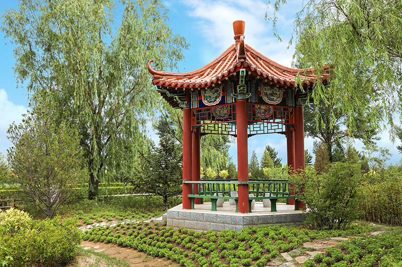 深度探寻中华永久陵园：墓型特色与风水环境魅力在哪（400 -